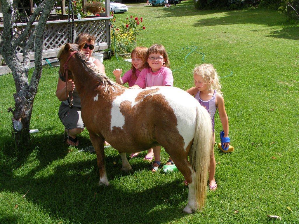 Pukenui Holiday Park Kültér fotó